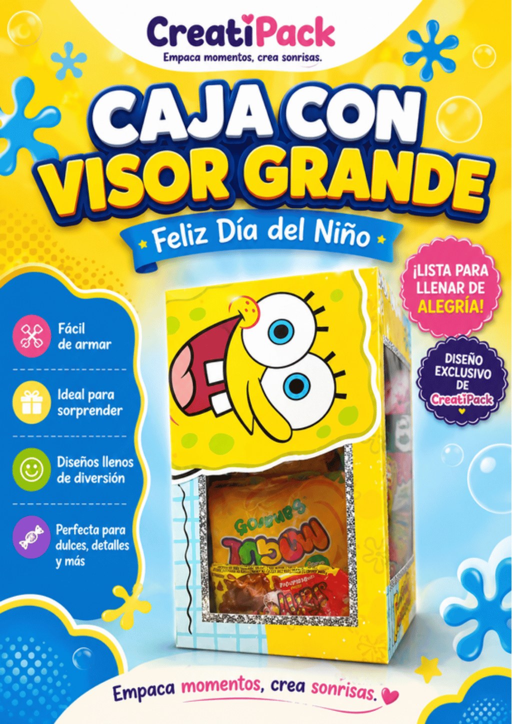 Caja Grande con Visor Transparente